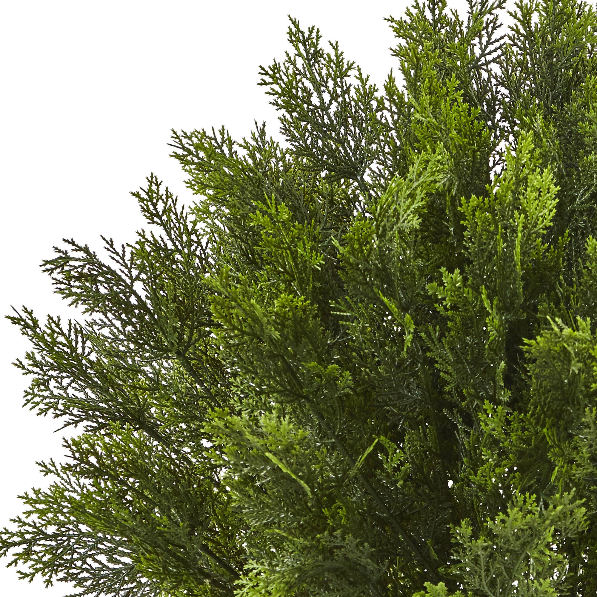 3ft. Potted Cedar Bush